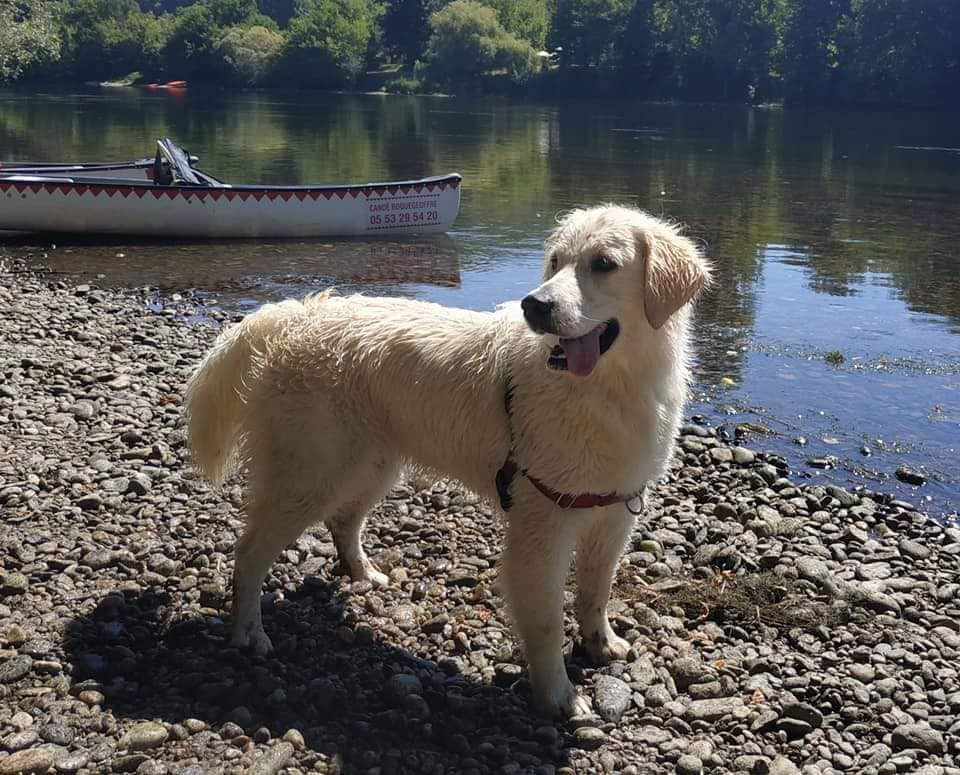 A la maison et les vacances